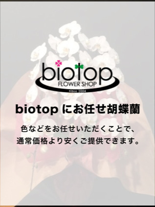 【おまかせ胡蝶蘭3本立】